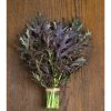 Ruby Streaks - Mustard Green Seed