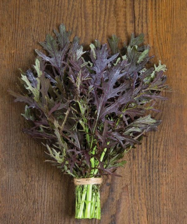 Ruby Streaks - Mustard Green Seed