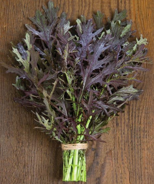 Ruby Streaks - Organic Mustard Green Seed