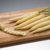 White Satin - Organic Carrot Seed