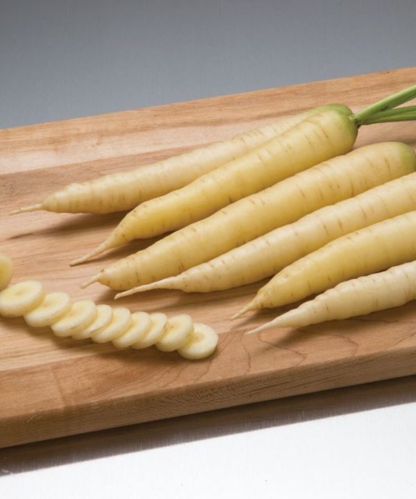 White Satin - Organic Carrot Seed