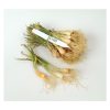 Candy - (F1) Onion Seed