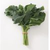 Spigariello Liscia - Broccoli Seed