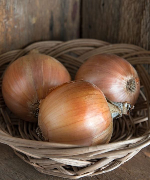 Cortland - Organic Onion Seeds