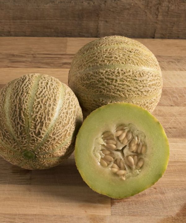 Eden's Gem - Organic Melon Seed