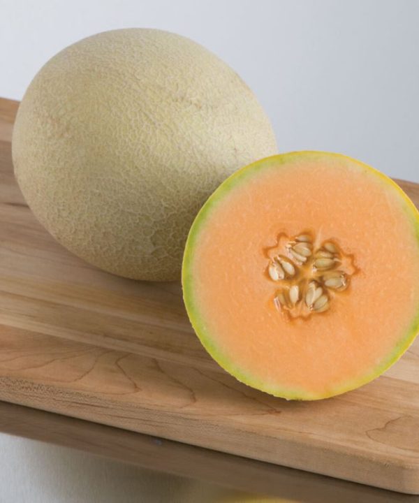 Sarah's Choice - (F1) Melon Seed