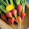 Touchstone Gold - Golden Beet Seeds