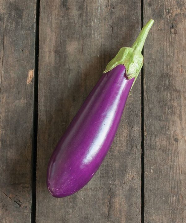 Dancer - (F1) Eggplant Seed
