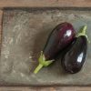 Galine - (F1) Eggplant Seed