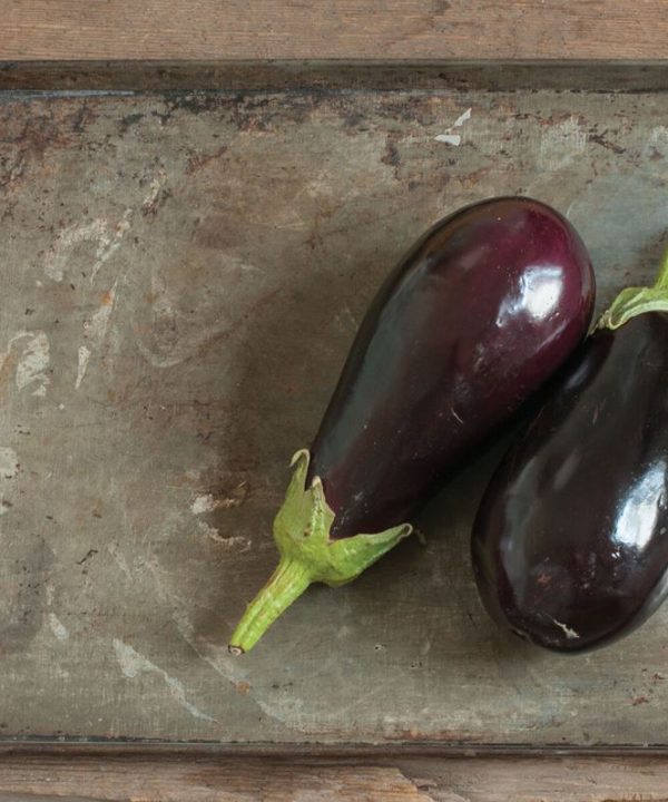 Galine - (F1) Eggplant Seed