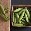 Strike - Pea Seed