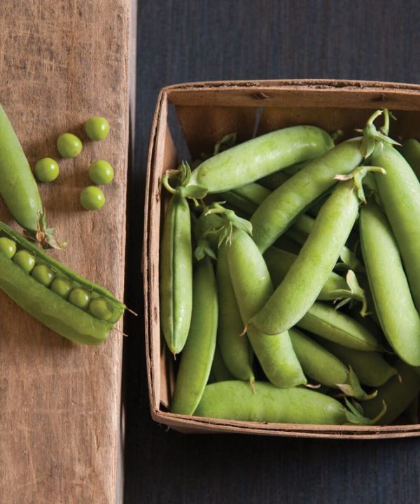 Strike - Treated Pea Seed