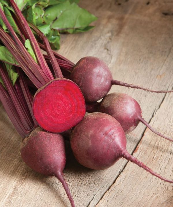 Red Ace - Organic (F1) Beet Seed