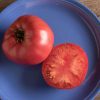 Brandywine - Organic Tomato Seed