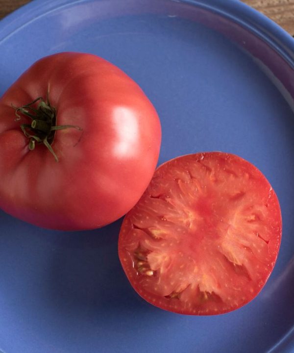 Brandywine - Organic Tomato Seed