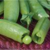 Super Sugar Snap - Pea Seed