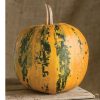 Kakai - Pumpkin Seed
