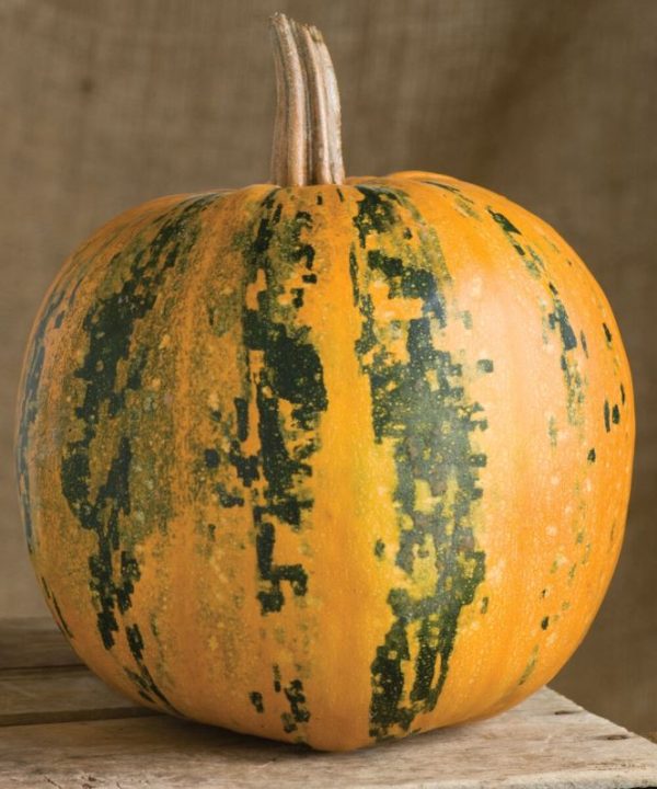 Kakai - Organic Pumpkin Seed