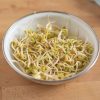 Fenugreek - Organic Sprouting Seeds