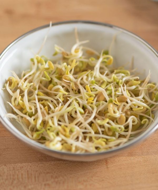 Fenugreek - Organic Sprouting Seeds