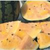 Sorbet Swirl - (F1) Watermelon Seed