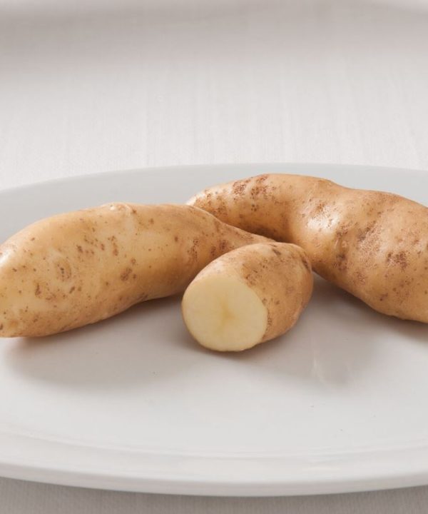 Russian Banana - Potatoes Seed
