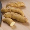 Russian Banana - Organic Seed Potatoes