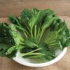 Tatsoi - Organic Asian Green Seed