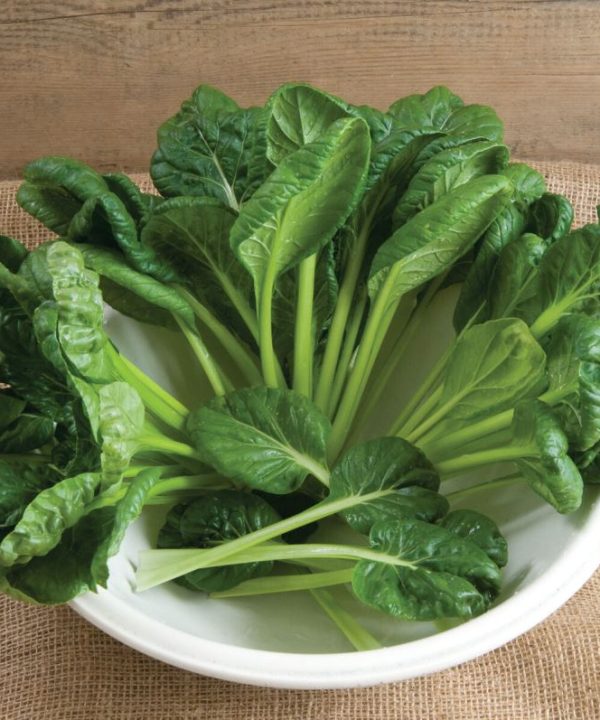 Tatsoi - Organic Asian Green Seed