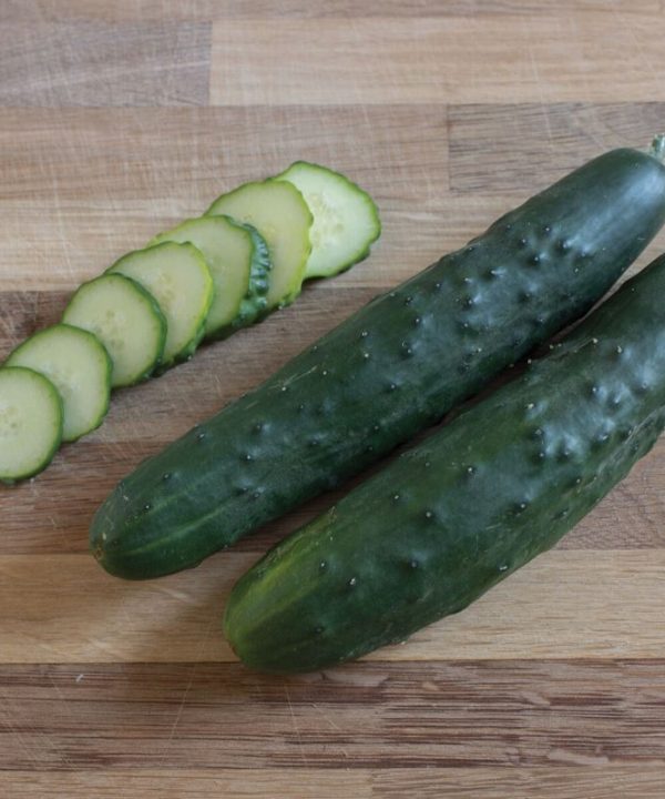 Olympian - Treated (F1) Cucumber Seed