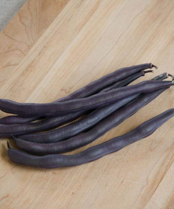 Royal Burgundy - Organic Purple Bean Seeds