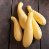 Multipik - (F1) Yellow Summer Squash Seed