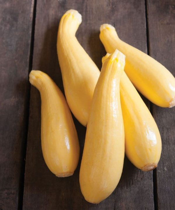 Multipik - (F1) Yellow Summer Squash Seed