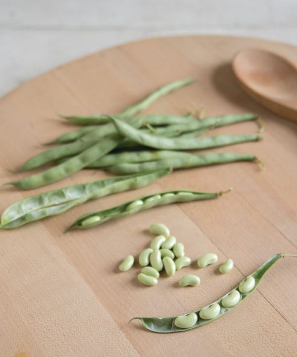 Flagrano - Bean Seed
