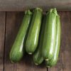 Tigress - (F1) Zucchini Squash Seed