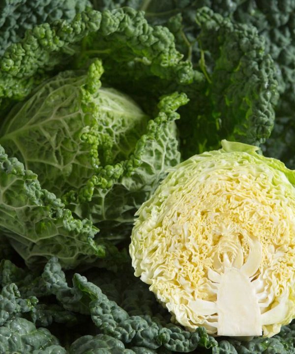 Alcosa - (F1) Cabbage Seed