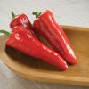 Carmen - Organic (F1) Corno di Toro Pepper Seed