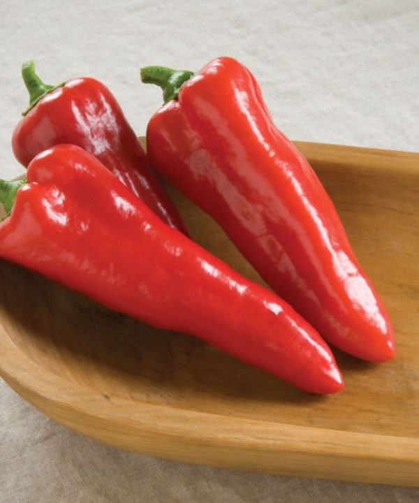 Carmen - Organic (F1) Corno di Toro Pepper Seed