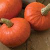 Sunshine - Organic Kabocha Squash Seeds