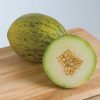 Lambkin - (F1) Melon Seed