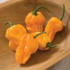 Numex Suave Orange - Habanero Pepper Seed