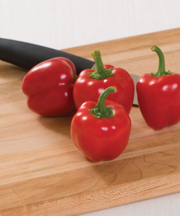 Cupid - Organic (F1) Bell Pepper Seed