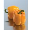 Sweet Sunrise - Organic Bell Pepper Seeds