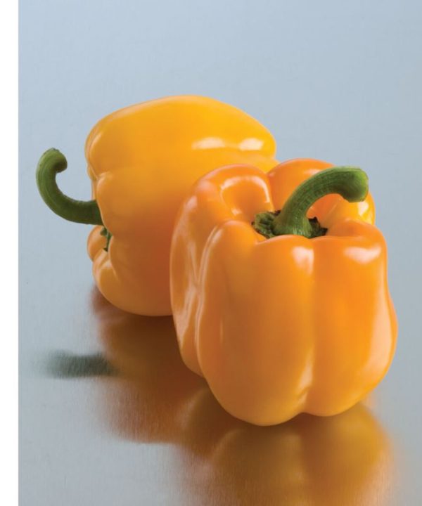 Sweet Sunrise - Organic Bell Pepper Seeds