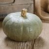 Winter Sweet - Organic (F1) Kabocha Squash Seed