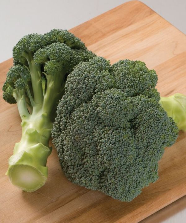 Imperial - (F1) Broccoli Seed