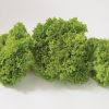Salanova? Green Incised - Lettuce Seed