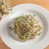 Sprouting Mix - Organic Sprouting Seeds
