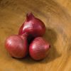 Camelot - (F1) Shallot Seed