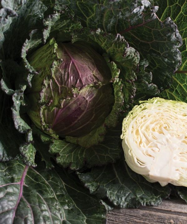 Deadon - Organic (F1) Cabbage Seed